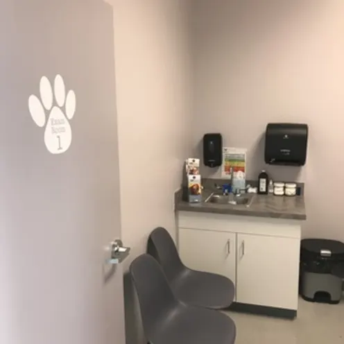 Exam room at Animal Medical Hospital of State College